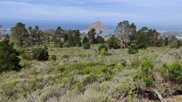 Morro Rock from Black Hill Peak