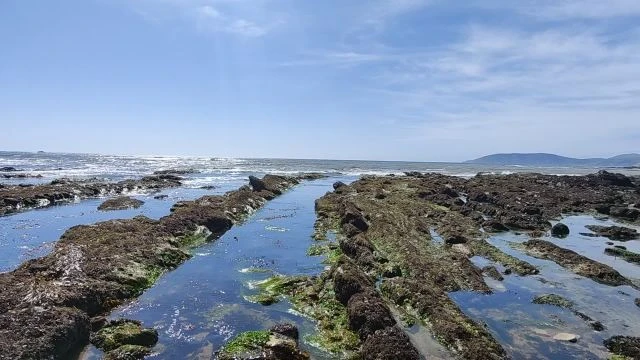 Pismo Bluffs