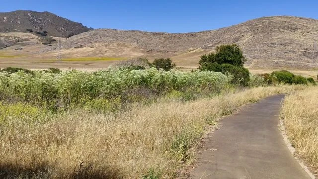 Laguna Lake Trails