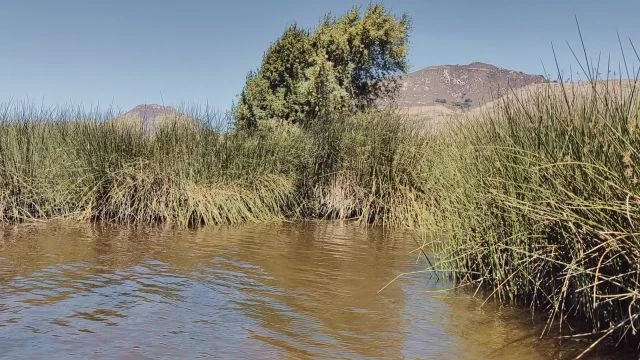 Laguna Lake in San luis Obispo